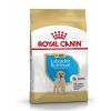 Croquettes pour Chiot Labrador Royal Canin