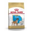 Croquettes pour Chiot Boxer Royal Canin
