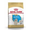 Croquettes pour Chiot Golden Retriever Royal Canin