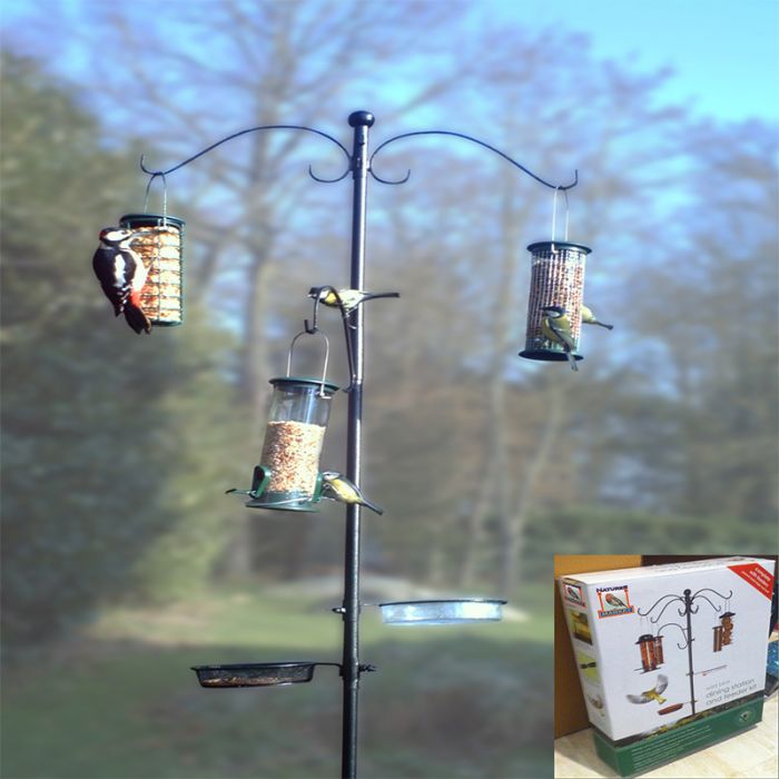 Le kit mangeoire à oiseaux