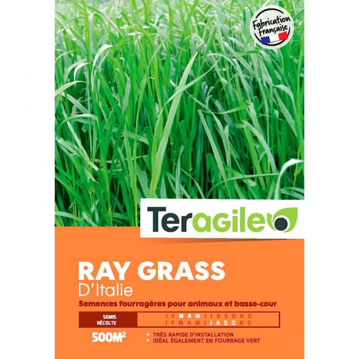 Graines de Gazon WAM Ray Grass Anglais Eminent 5 KG