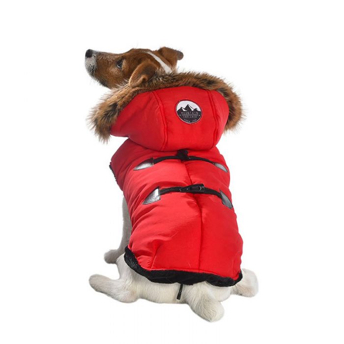manteau pour chien de marque
