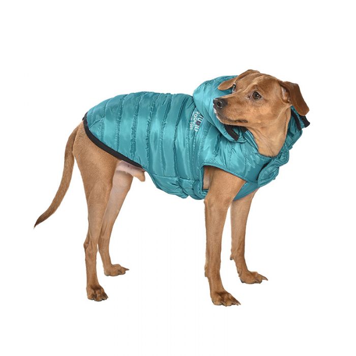 manteau doudoune pour chien