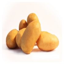 Plants de pommes de terre blanche 3+1kg